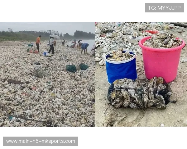 台风过境带来丰盛海鲜，惠州市民忙赶海，惠州台风季节是几月份